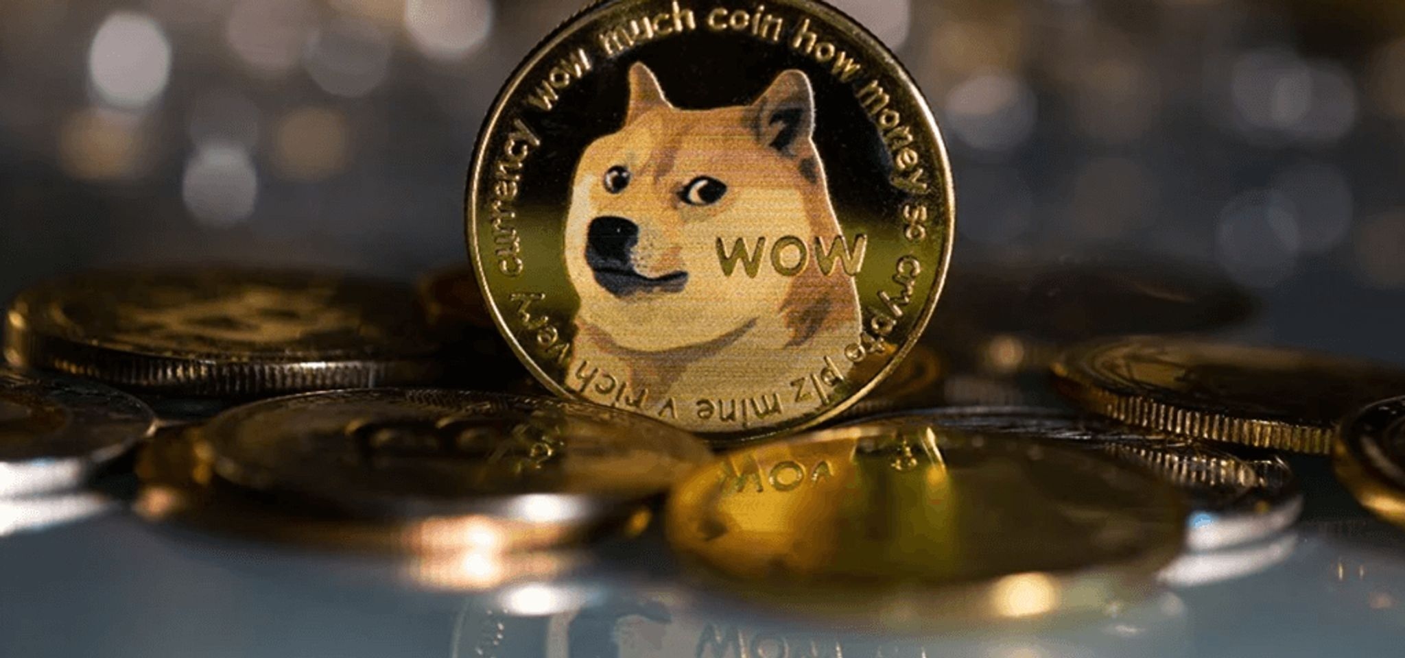 The meme coin with the dog on it