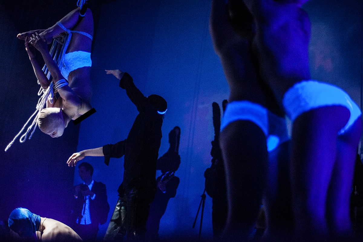 Blue Velvet вечеринка