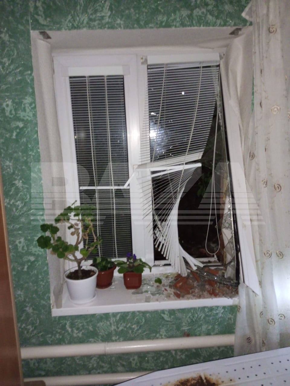 Миниатюра 5