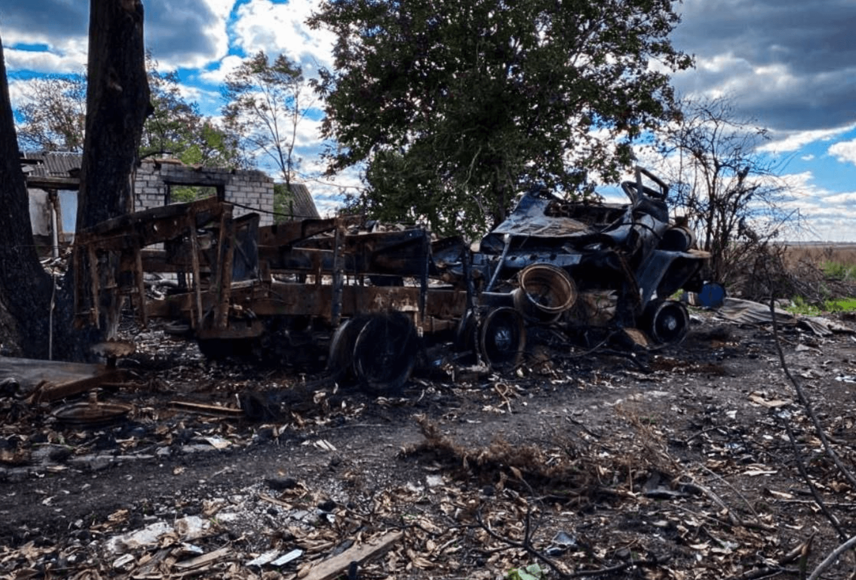 Миниатюра 3