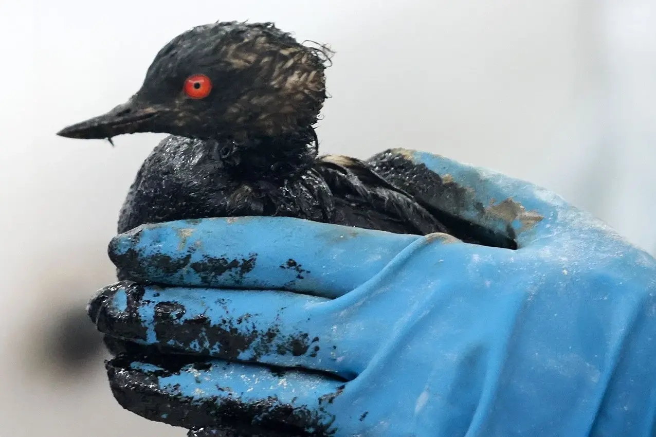 Фото: Сергей Мальгавко / ТАСС