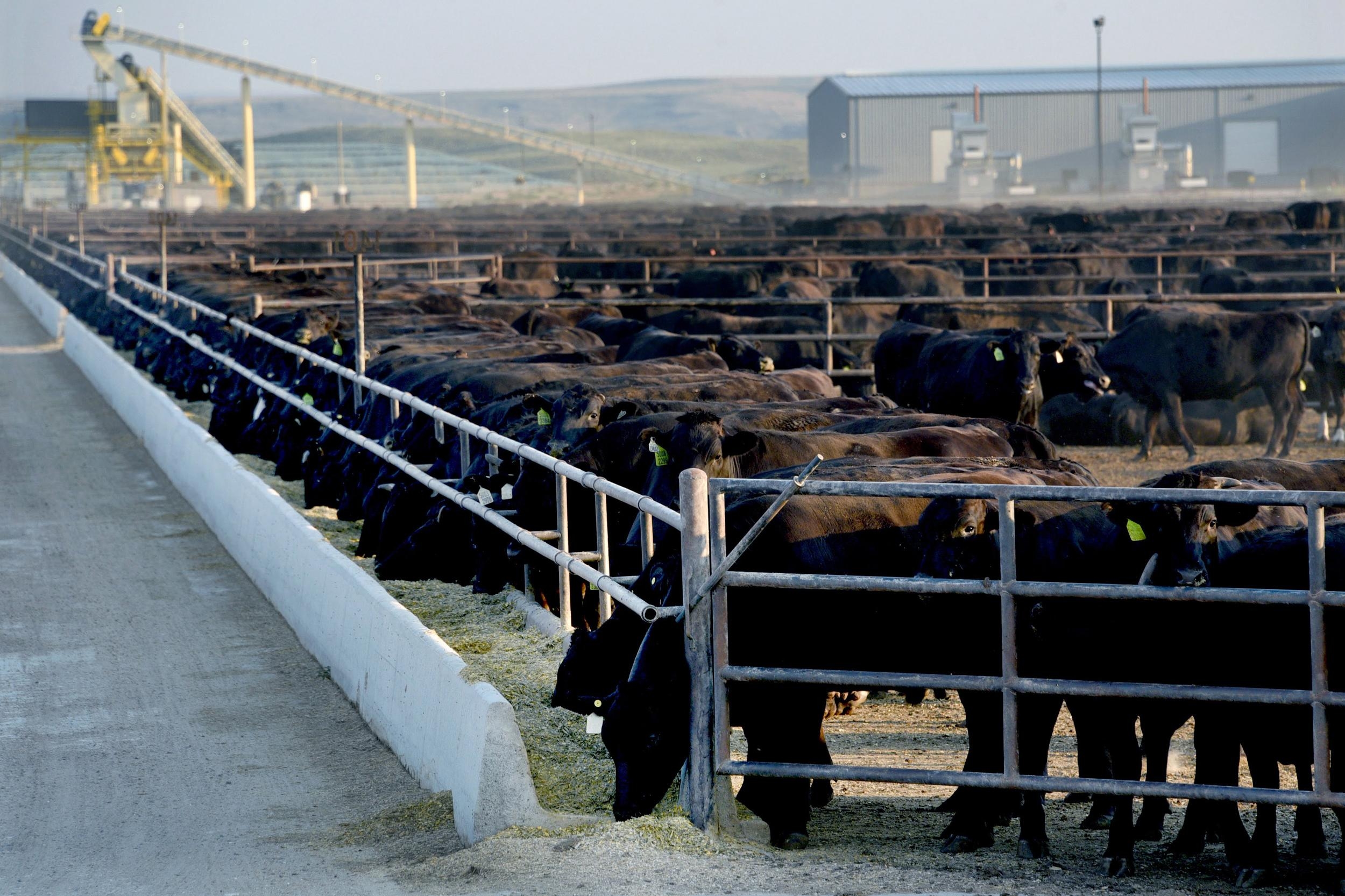 Фото: Sonya Doctorian/Inside Climate News