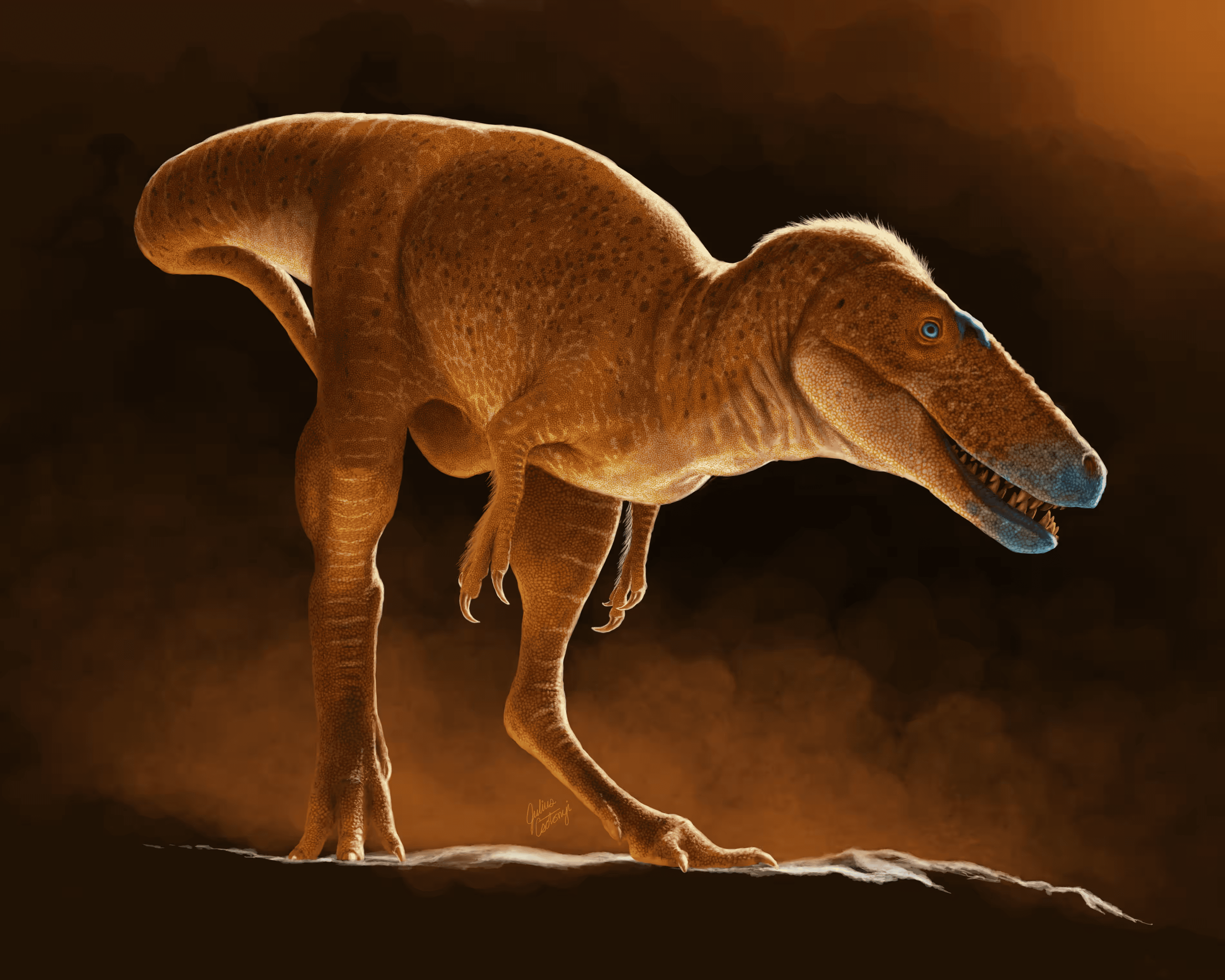 Ученые открыли новый вид динозавров — предка тираннозавра. Его назвали «Принцем драконов Монголии»