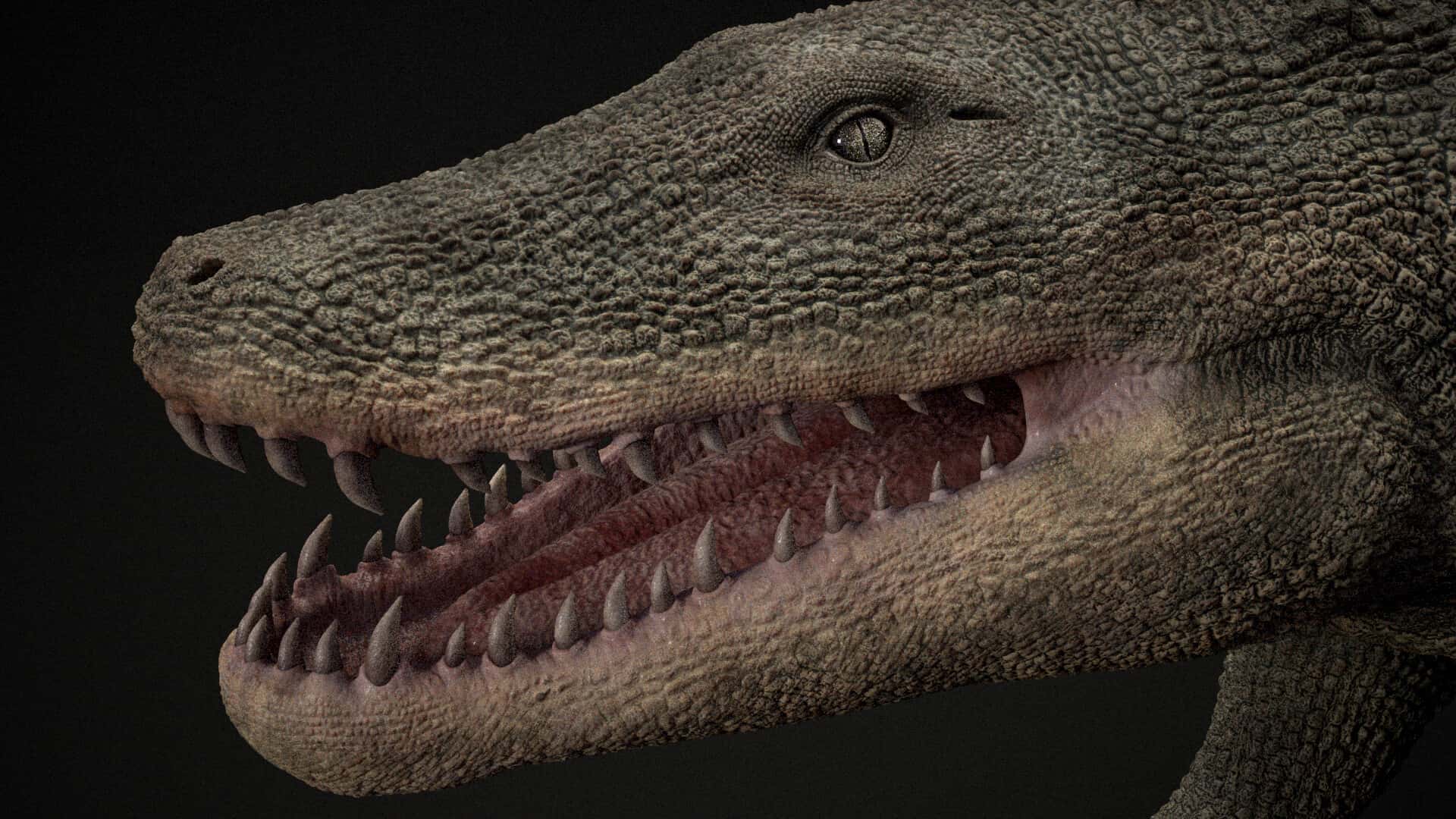 Палеонтологи нашли самую старую в Австралии скорлупу яиц древних вымерших крокодилов