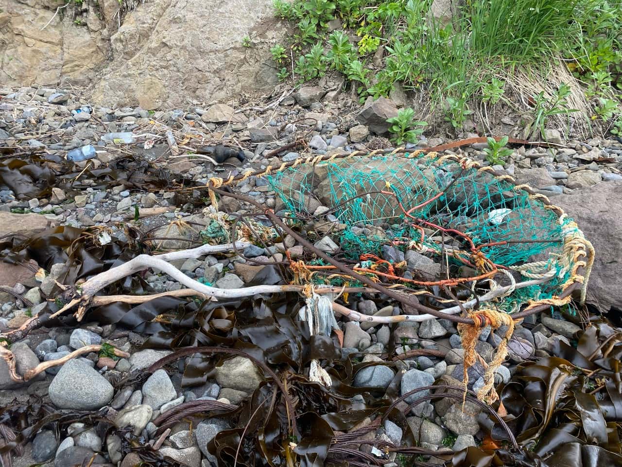 И рыбку съесть, и по статье не сесть. Как Камчатка стала центром браконьерства — репортаж