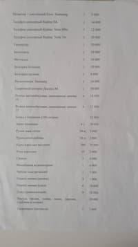 Миниатюра 3