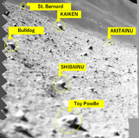 Миниатюра 2
