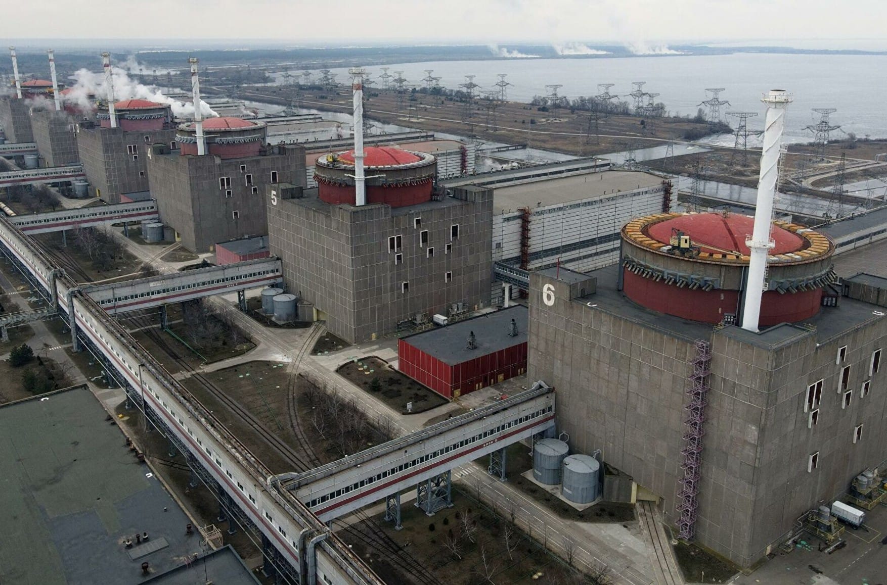 Zaporizhzhia NPP staff forced to sign contracts with Russians under torture, Ukrainian Energoatom claims
