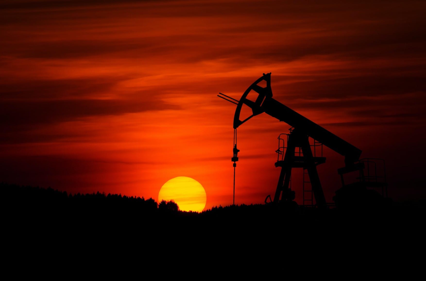 Holey patriotism. Professor Igor Lipsitz on how the war will bankrupt the Russian economy 