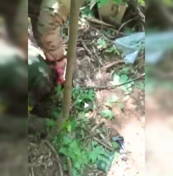 Военные РФ заставляли пленных украинцев доставлять боеприпасы по минным полям и собирать раненых россиян. Двоих пленных казнили — доклад ООН