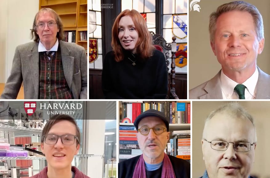 Fake AI versions of world-renowned academics are spreading claims that Ukraine should surrender to Russia