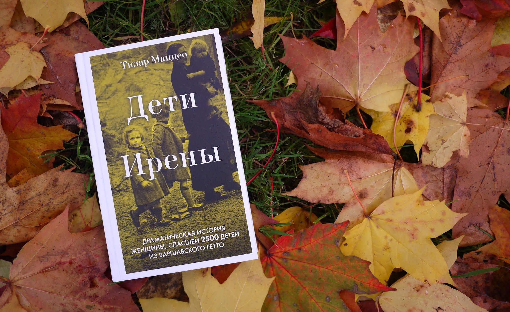 «Эксмо» после жалоб Z-активистов с благодарностью к читателям за внимание сняло с продажи книгу «Дети Ирены» о Варшавском гетто