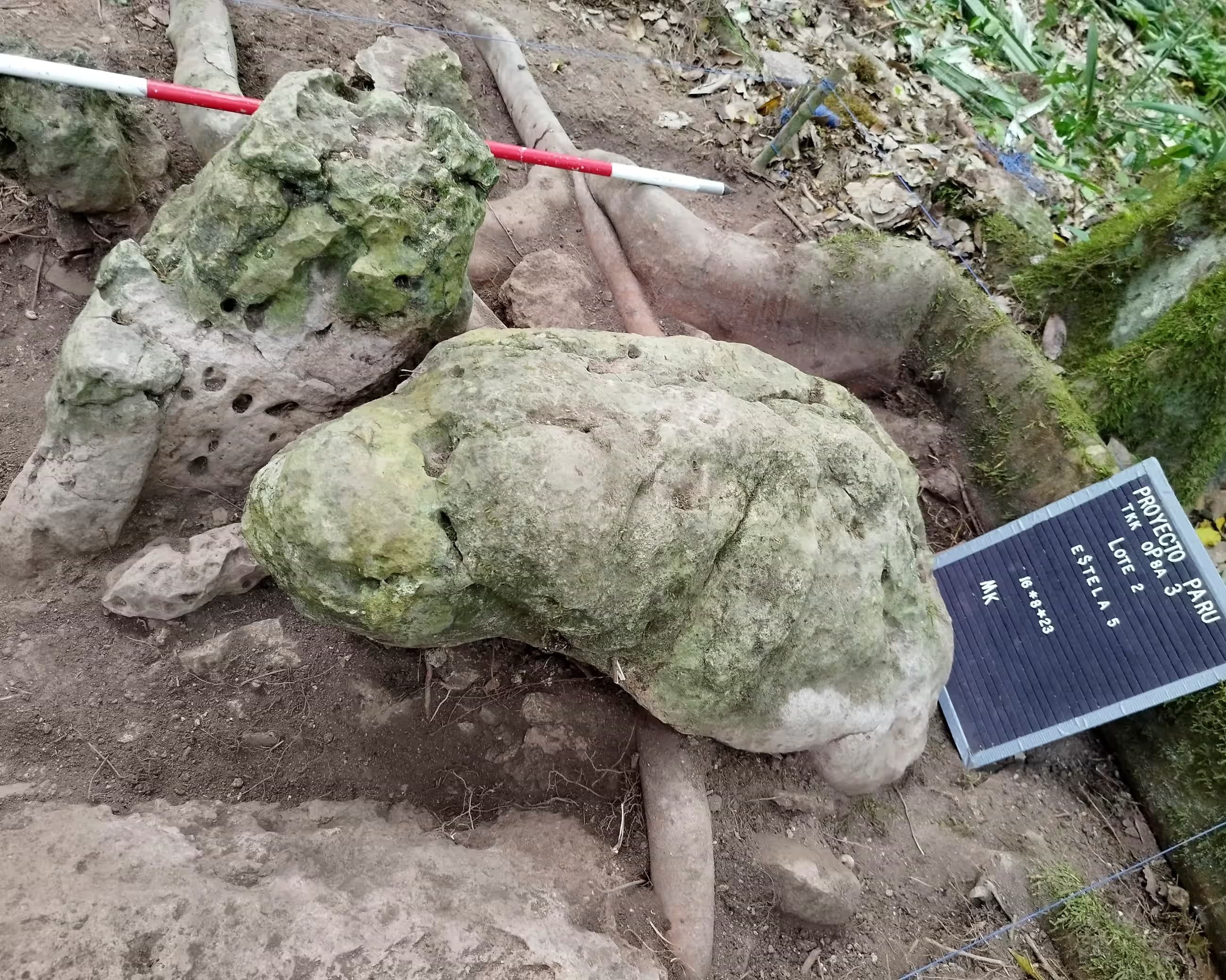 В джунглях Гватемалы найден один из древнейших церемониальных центров майя возрастом 3 тысячи лет