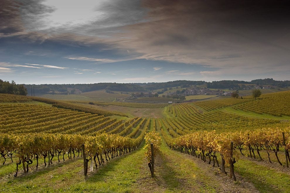 Компания, связанная с главой ВТБ, скупает виноградники в Крыму - "Ведомости"