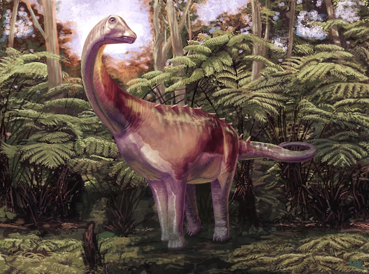 Carnegie Museum of Natural History