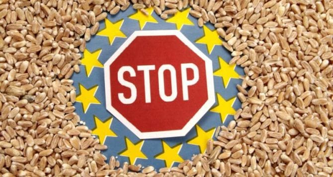 «Война эмбарго» на украинскую сельхозпродукцию разгорается из-за грядущих выборов в странах ЕС — эксперты