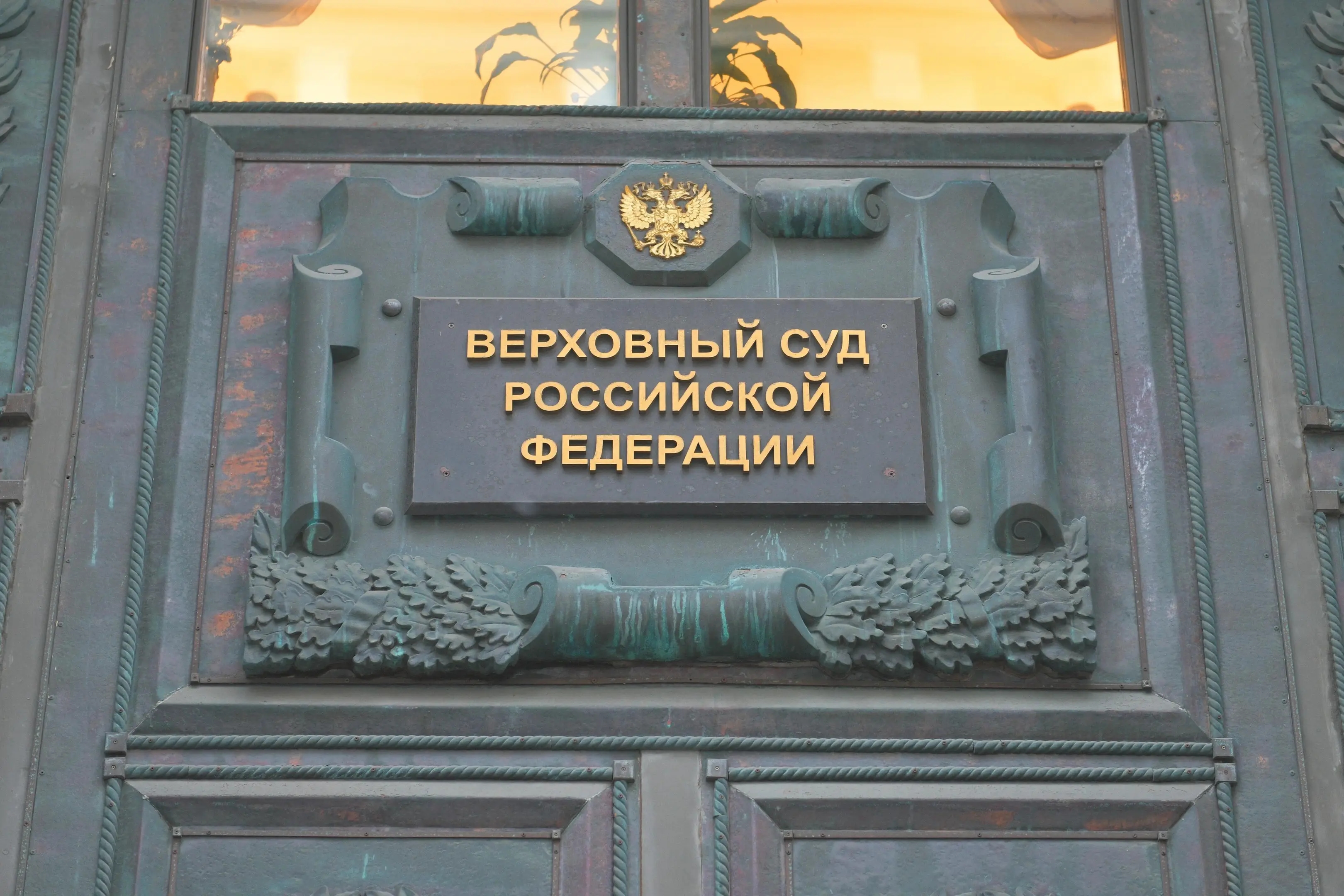 Артём Устюжанин / MSK1.RU