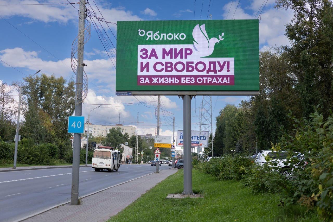 Фото: Telegram пресс-службы «Яблока»