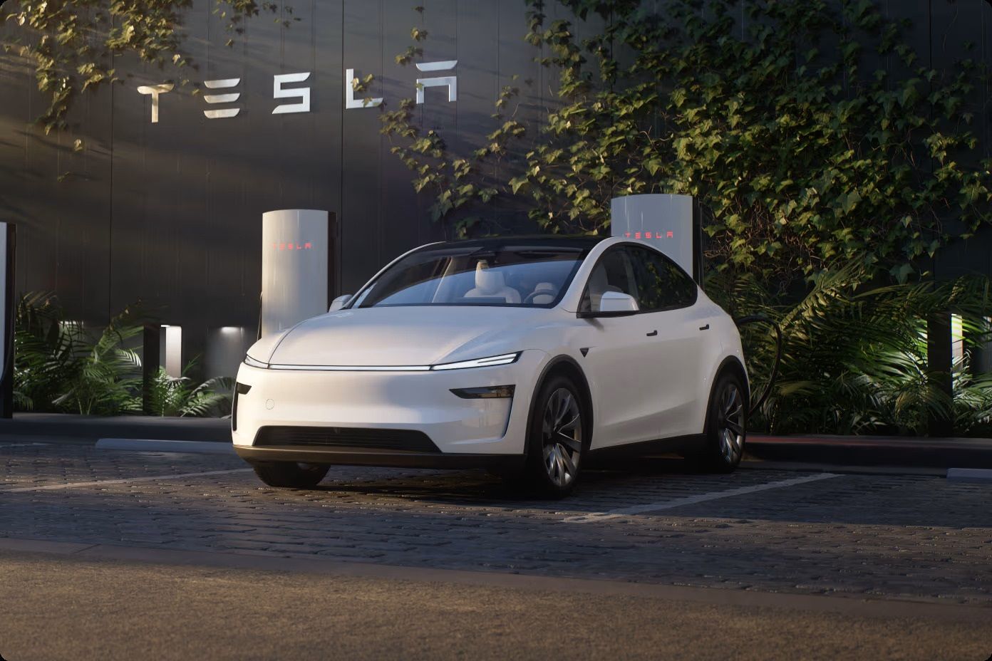 Model Y
