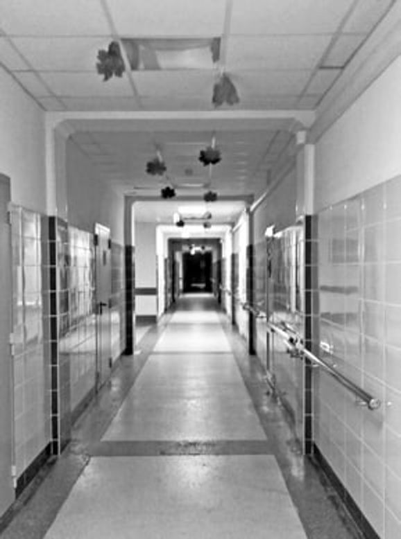 Photo by Leonid Tsoi