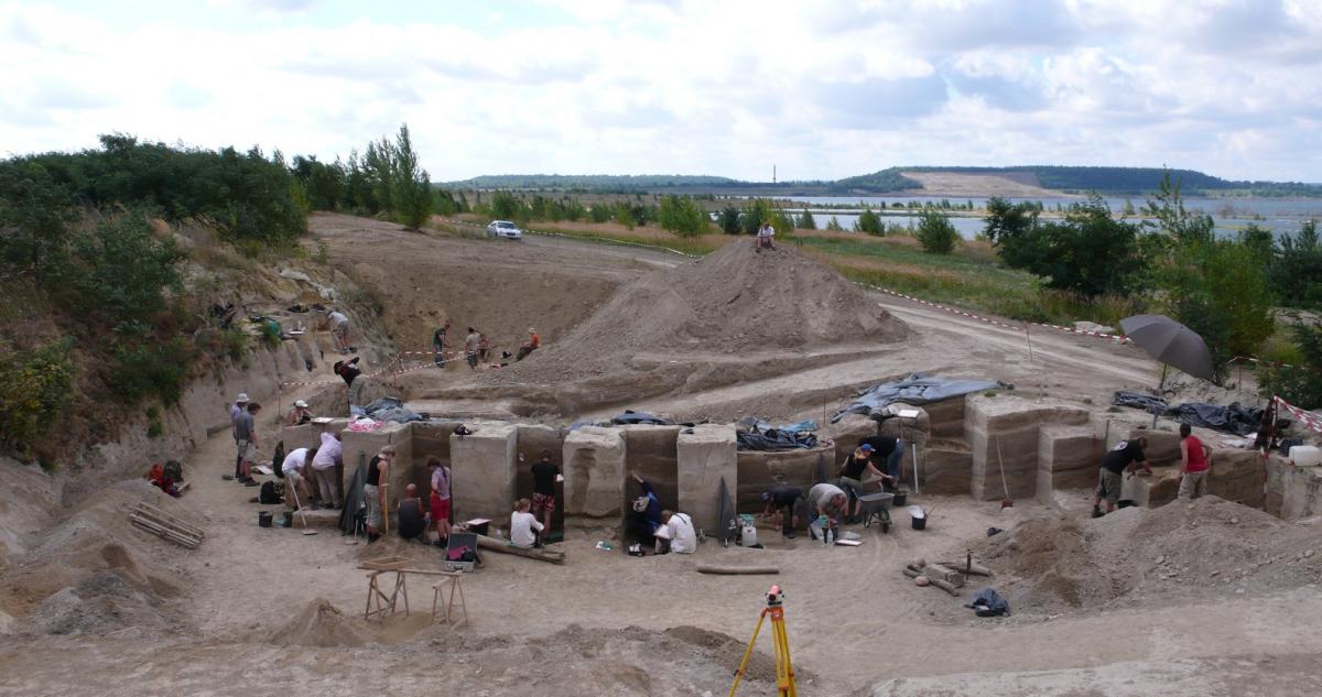 Фото: Уил Робрукс, Лейденский университет