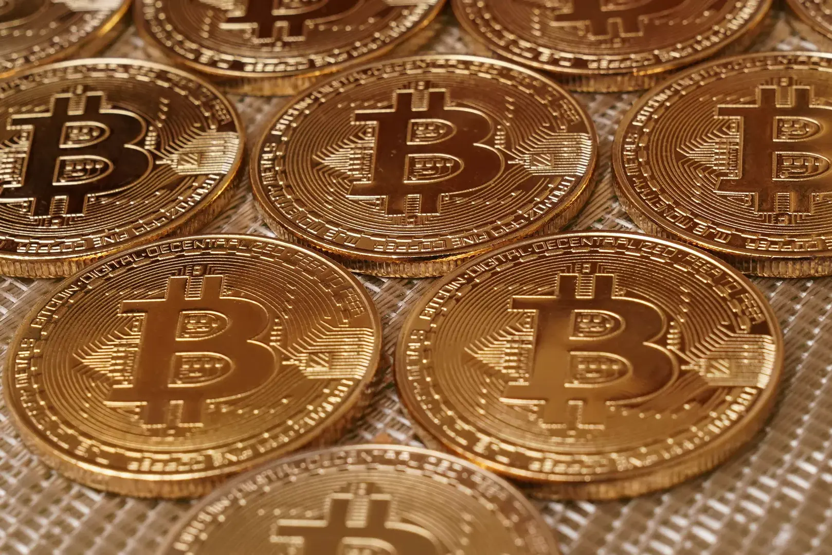 Фото: РИА Новости / Владимир Трефилов